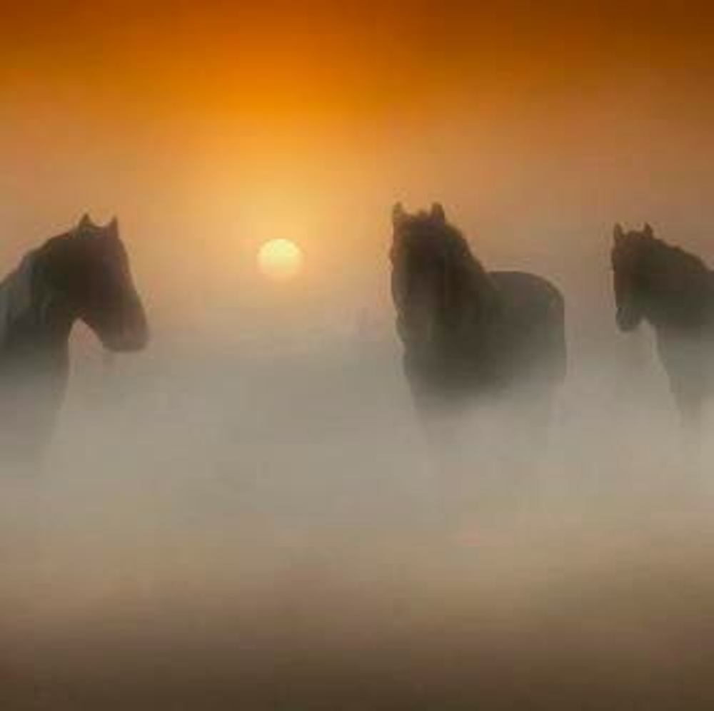 Meet your Posher, Laloni